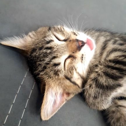 architect_temir's profile picture. Architecture/engineering. 🧱🏗🏛