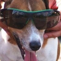 Andrzej (@andrzej_grab) 's Twitter Profile