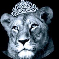 Kat Lion (@katwild27) 's Twitter Profile