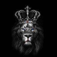 الفرزدق اليماني (@alfarazdaq_ymen) Twitter profile photo