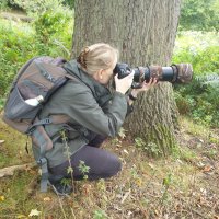 Karen Bangs Photography (@karenebangs) 's Twitter Profile