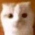 nakさんのプロフィール画像