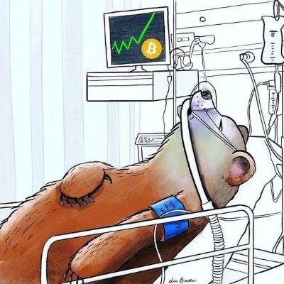 xprogram12's profile picture. 