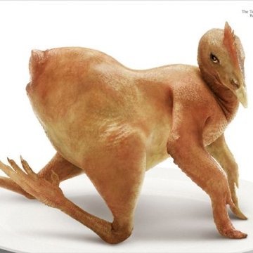 BoHuntHathian's profile picture. ((Secondlife character in Crack Den, not a real person. IC/OOC bans=Twitter ban.))