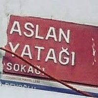Aslan Yatağı (@lion_bed_) 's Twitter Profile Photo Aslan Yatağı (@lion_bed_) 's Twitter Profile Photo