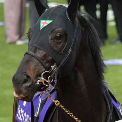 牡6歳 杉山晴紀厩舎 ノーザンファーム 2019年4月12日に誕生しました🐴
【主な勝鞍】23天皇賞春(GI)👑▪️23阪神大賞典(GII)▪️22神戸新聞杯(GII)
🐴ファンアカウント🐴
