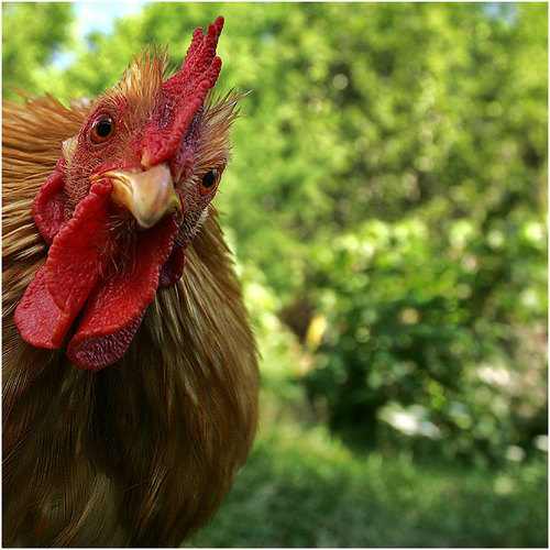 SamWehrs's profile picture. 