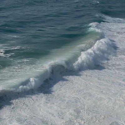 camldownhabib's profile picture. 