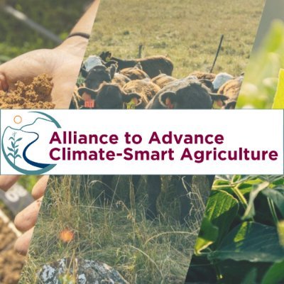 Rewarding farmers + ranchers for adopting climate-smart practices to increase productivity, strengthen markets + improve climate resilience.
📍 AR, MN, ND, VA