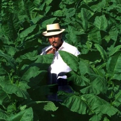 VictorLustig's profile picture. 