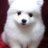 limngyo2's profile image