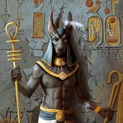 JuanmaCorts3's profile picture. 