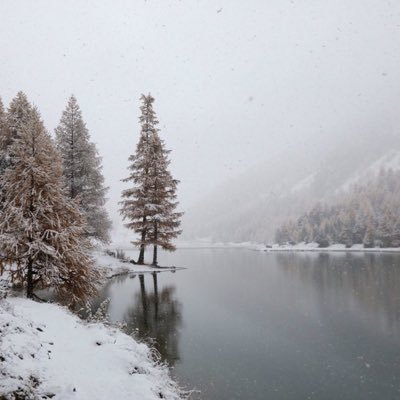 Quand l humain comprendra qu il n est rien sans la vie de la faune, la mini faune, les plantes, les arbres, alors, on commencera à parler d’une réelle évolution
