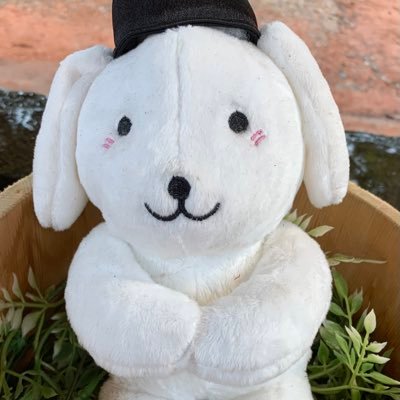 Ydx8vrZ3Lh63071's profile picture. はじめまして😊30代前半のめっちゃ甘えん坊でめっちゃ寂しがり屋のかまってちゃんの男性です😭😭 優しい彼女募集中です😊💕👍‼️誰かいませんか🥺⁉️ #彼女募集中 #女友達募集中 #群馬 #栃木  #結婚 #Twitter婚活 #X婚活 #Twitter恋愛 #X恋愛