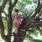 pedro_sardina11's profile image