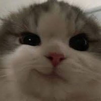 Alex (@alexval__) 's Twitter Profile Photo