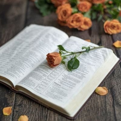 GOD IS LOVE ♥️✨ || John 3:16 || Author, Creative Writer, Bible Teacher || To Serve Humanity and Bring Humanity Closer to God.