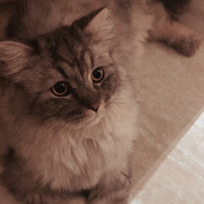 x3iz_kh's profile picture. 