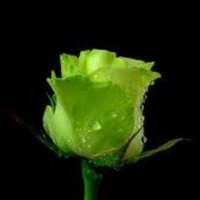 Ayman (@9876553ayman) Twitter profile photo