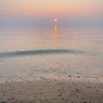 BronchGod's profile picture. 