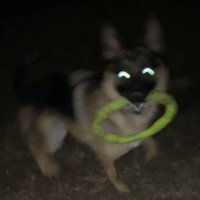 ̑ᴥ ̑ (@th_029) Twitter profile photo