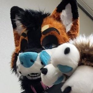 SomeWolfy's profile picture. 29 • 🌈 • Wolf • Web dev • DMs Open! • Telegram @SomeWolfy • @NordstromKaiju &  @serestudios fursuiter