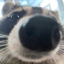 Chris Alexander - @ChrisAlexa49144 - Twitter