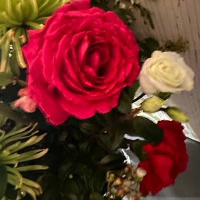 rdenton1966's profile picture. 