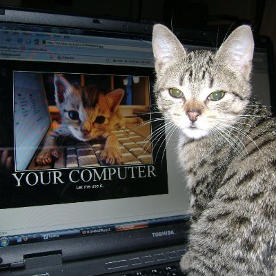 rovermust's profile picture. 