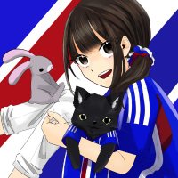 くろのすけ🐈‍⬛🇫🇷(@Kronosuke10) 's Twitter Profile Photo