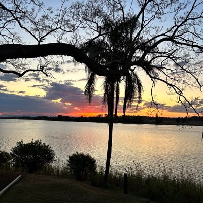 jodiel1986's profile picture. Do what you can, with what you have, where you are.