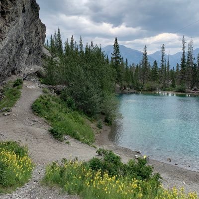 Lis1967's profile picture. Sick and tired of being sick and tired.🇨🇦🇨🇦🇨🇦