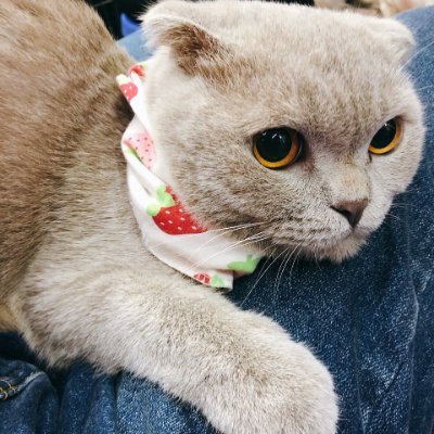 Life is about joy and sorrow, life is about bitterness and sweetness.❀❀