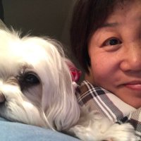 rose (@shuqiiiiiii) 's Twitter Profile Photo rose (@shuqiiiiiii) 's Twitter Profile Photo