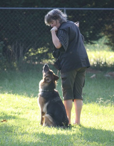 JayTullis's profile picture. Child rearer emeritus, professional diletante, and director of Assisted Living for my dearest man