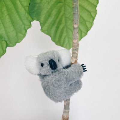 akariKD's profile picture. わかりやすい言葉で、わたしにしか書けない視点を伝えたい。趣味は手紙を書くこと。たまごと貝が好き。著書に『レシート探訪 1枚にみる小さな生活史』（技術評論社）🧾 お仕事実績はインスタグラムにあります。