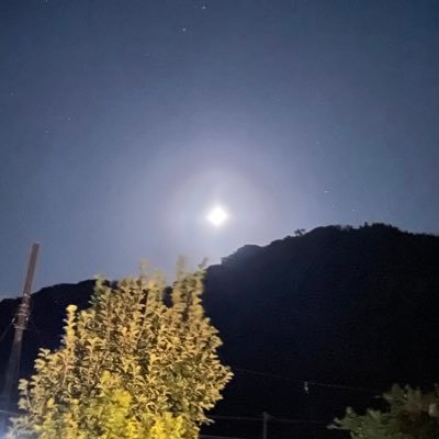uSjcMiD2iWfalrK's profile picture. 種蒔き、苗作りが大好き、田舎暮らし、 猫3匹飼っています🙀