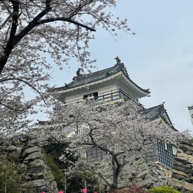 ki989347046712's profile picture. 中の上管理職📚多忙🧚ISTJ-T🍑