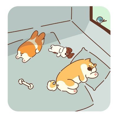 dorra0101's profile picture. 