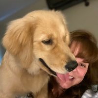 Maryann Lambert (@lambertmar2894) 's Twitter Profile