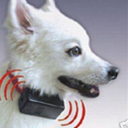 barkcollarsdog's profile picture. This collar makes pet training easy. The high pitched tones, inaudible to humans, reinforce commands and dramatically reduce training time