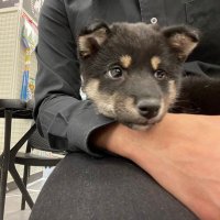 そーま (@c_0721_s) 's Twitter Profile