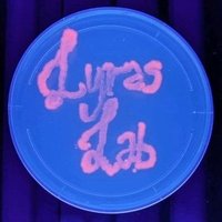 Lyras Lab (@lyraslab) 's Twitter Profile