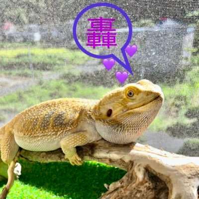 XdpFfr's profile picture. 生き物好きな大人🐶岸くん大好き。岸くんが大切にしているから、永遠に6KP箱推し👑❤️🖤💛💜🩵🩷✨Number_i強火🔥出会えた奇跡と愛に日々感謝💕ひたすら誠実な彼らの未来が幸せでありますように。無言フォロー多くすみません。🙇‍♀️ 合わなければ、いつでも外してください。