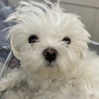뚠 (@yorchddun) 's Twitter Profile Photo 뚠 (@yorchddun) 's Twitter Profile Photo