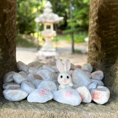 Identity_V_SAO's profile picture. ペルシーが好き 最高B徽章! 使ってるキャラ サバイバー/オフェンス、カウボーイ、小説家、記者、航空エンジニア.ハンター/アン、ペルシー