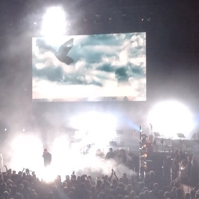 astral_punk's profile picture. Half man, 2 thirds cat...
My roar is worse than my bite & my tail always points to the left...😼
Tired & Disillusioned...