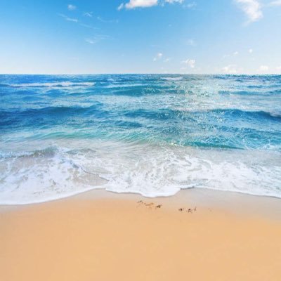 moona_fahad's profile picture. 