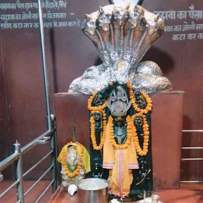 33333A8054's profile picture. Fool