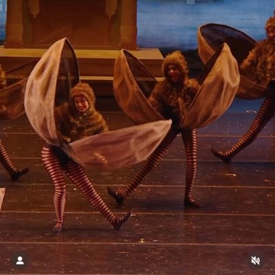 y_a_r_h's profile picture. 税理士事務所職員/CASIO派/元しいたけ